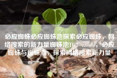 必应蜘蛛必应蜘蛛池探索必应蜘蛛，网络搜索的新力量蜘蛛池TG：zzcseo，必应蜘蛛与蜘蛛池，探索网络搜索新力量