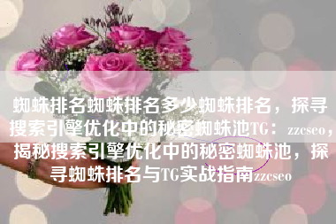 蜘蛛排名蜘蛛排名多少蜘蛛排名，探寻搜索引擎优化中的秘密蜘蛛池TG：zzcseo，揭秘搜索引擎优化中的秘密蜘蛛池，探寻蜘蛛排名与TG实战指南zzcseo