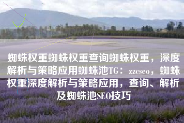 蜘蛛权重蜘蛛权重查询蜘蛛权重，深度解析与策略应用蜘蛛池TG：zzcseo，蜘蛛权重深度解析与策略应用，查询、解析及蜘蛛池SEO技巧