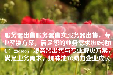 服务器出售服务器售卖服务器出售，专业解决方案，满足您的业务需求蜘蛛池TG：zzcseo，服务器出售与专业解决方案，满足业务需求，蜘蛛池TG助力企业成长