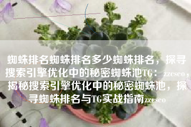 蜘蛛排名蜘蛛排名多少蜘蛛排名，探寻搜索引擎优化中的秘密蜘蛛池TG：zzcseo，揭秘搜索引擎优化中的秘密蜘蛛池，探寻蜘蛛排名与TG实战指南zzcseo