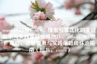 seoseo网站推广SEO，搜索引擎优化的关键要素与实践策略蜘蛛池TG：zzcseo，SEO推广策略，关键要素与实践策略蜘蛛池指南（附TG，zzcseo）
