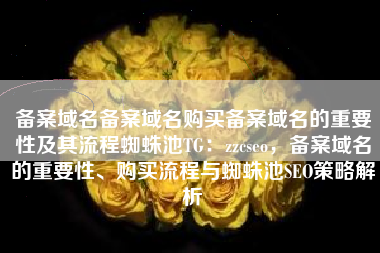 备案域名备案域名购买备案域名的重要性及其流程蜘蛛池TG：zzcseo，备案域名的重要性、购买流程与蜘蛛池SEO策略解析