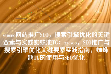 seoseo网站推广SEO，搜索引擎优化的关键要素与实践蜘蛛池TG：zzcseo，SEO推广与搜索引擎优化关键要素实践指南，蜘蛛池TG的使用与SEO优化