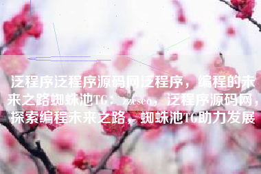 泛程序泛程序源码网泛程序，编程的未来之路蜘蛛池TG：zzcseo，泛程序源码网，探索编程未来之路，蜘蛛池TG助力发展