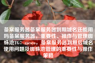 备案服务器备案服务器到期域名还能用吗备案服务器，重要性、操作与管理蜘蛛池TG：zzcseo，备案服务器到期后域名使用问题及蜘蛛池管理的重要性与操作策略