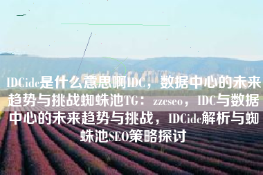 IDCidc是什么意思啊IDC，数据中心的未来趋势与挑战蜘蛛池TG：zzcseo，IDC与数据中心的未来趋势与挑战，IDCidc解析与蜘蛛池SEO策略探讨