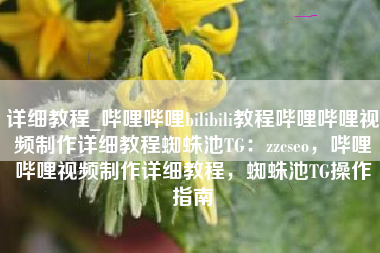 详细教程_哔哩哔哩bilibili教程哔哩哔哩视频制作详细教程蜘蛛池TG：zzcseo，哔哩哔哩视频制作详细教程，蜘蛛池TG操作指南