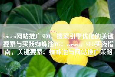 seoseo网站推广SEO，搜索引擎优化的关键要素与实践蜘蛛池TG：zzcseo，SEO实践指南，关键要素、蜘蛛池与网站推广策略
