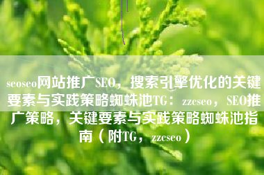 seoseo网站推广SEO，搜索引擎优化的关键要素与实践策略蜘蛛池TG：zzcseo，SEO推广策略，关键要素与实践策略蜘蛛池指南（附TG，zzcseo）