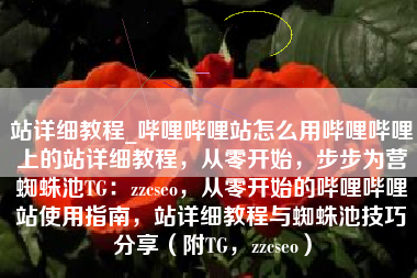 站详细教程_哔哩哔哩站怎么用哔哩哔哩上的站详细教程，从零开始，步步为营蜘蛛池TG：zzcseo，从零开始的哔哩哔哩站使用指南，站详细教程与蜘蛛池技巧分享（附TG，zzcseo）