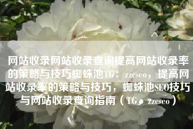 网站收录网站收录查询提高网站收录率的策略与技巧蜘蛛池TG：zzcseo，提高网站收录率的策略与技巧，蜘蛛池SEO技巧与网站收录查询指南（TG，zzcseo）
