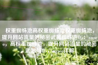 权重蜘蛛池高权重蜘蛛池权重蜘蛛池，提升网站流量的秘密武器蜘蛛池TG：zzcseo，高权重蜘蛛池，提升网站流量的秘密武器与TG，zzcseo详解