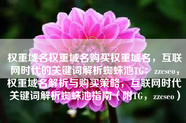 权重域名权重域名购买权重域名，互联网时代的关键词解析蜘蛛池TG：zzcseo，权重域名解析与购买策略，互联网时代关键词解析蜘蛛池指南（附TG，zzcseo）