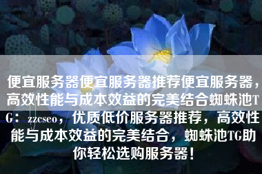 便宜服务器便宜服务器推荐便宜服务器，高效性能与成本效益的完美结合蜘蛛池TG：zzcseo，优质低价服务器推荐，高效性能与成本效益的完美结合，蜘蛛池TG助你轻松选购服务器！