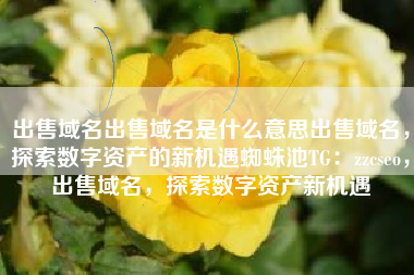 出售域名出售域名是什么意思出售域名，探索数字资产的新机遇蜘蛛池TG：zzcseo，出售域名，探索数字资产新机遇