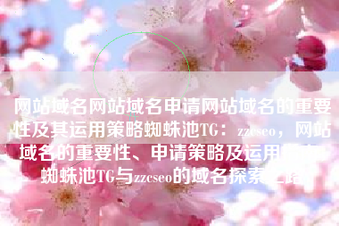 网站域名网站域名申请网站域名的重要性及其运用策略蜘蛛池TG：zzcseo，网站域名的重要性、申请策略及运用指南，蜘蛛池TG与zzcseo的域名探索之路