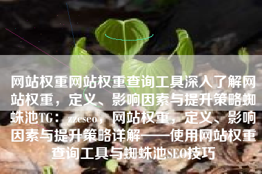 网站权重网站权重查询工具深入了解网站权重，定义、影响因素与提升策略蜘蛛池TG：zzcseo，网站权重，定义、影响因素与提升策略详解——使用网站权重查询工具与蜘蛛池SEO技巧