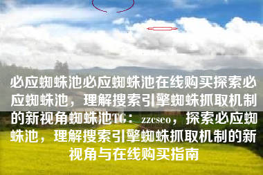 必应蜘蛛池必应蜘蛛池在线购买探索必应蜘蛛池，理解搜索引擎蜘蛛抓取机制的新视角蜘蛛池TG：zzcseo，探索必应蜘蛛池，理解搜索引擎蜘蛛抓取机制的新视角与在线购买指南