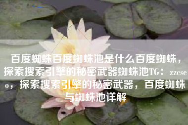 百度蜘蛛百度蜘蛛池是什么百度蜘蛛，探索搜索引擎的秘密武器蜘蛛池TG：zzcseo，探索搜索引擎的秘密武器，百度蜘蛛与蜘蛛池详解