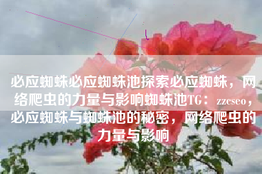 必应蜘蛛必应蜘蛛池探索必应蜘蛛，网络爬虫的力量与影响蜘蛛池TG：zzcseo，必应蜘蛛与蜘蛛池的秘密，网络爬虫的力量与影响