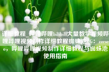 详细教程_哔哩哔哩bilibili大量教学视频哔哩哔哩视频制作详细教程蜘蛛池TG：zzcseo，哔哩哔哩视频制作详细教程与蜘蛛池使用指南