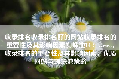 收录排名收录排名好的网站收录排名的重要性及其影响因素蜘蛛池TG：zzcseo，收录排名的重要性及其影响因素，优质网站与蜘蛛池策略