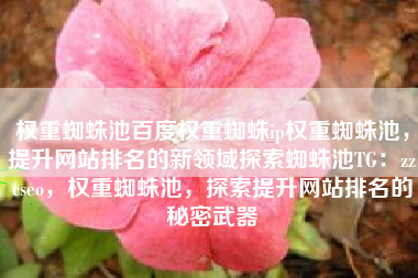权重蜘蛛池百度权重蜘蛛ip权重蜘蛛池，提升网站排名的新领域探索蜘蛛池TG：zzcseo，权重蜘蛛池，探索提升网站排名的秘密武器