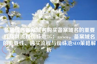 备案域名备案域名购买备案域名的重要性及其流程蜘蛛池TG：zzcseo，备案域名的重要性、购买流程与蜘蛛池SEO策略解析