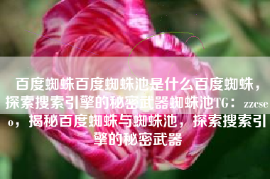 百度蜘蛛百度蜘蛛池是什么百度蜘蛛，探索搜索引擎的秘密武器蜘蛛池TG：zzcseo，揭秘百度蜘蛛与蜘蛛池，探索搜索引擎的秘密武器