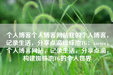 个人博客个人博客网站我的个人博客，记录生活，分享点滴蜘蛛池TG：zzcseo，个人博客网站，记录生活，分享点滴，构建蜘蛛池TG的个人世界