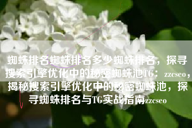 蜘蛛排名蜘蛛排名多少蜘蛛排名，探寻搜索引擎优化中的秘密蜘蛛池TG：zzcseo，揭秘搜索引擎优化中的秘密蜘蛛池，探寻蜘蛛排名与TG实战指南zzcseo