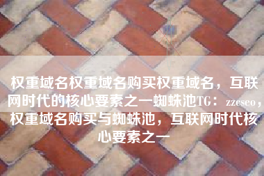 权重域名权重域名购买权重域名，互联网时代的核心要素之一蜘蛛池TG：zzcseo，权重域名购买与蜘蛛池，互联网时代核心要素之一