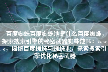 百度蜘蛛百度蜘蛛池是什么百度蜘蛛，探索搜索引擎的秘密武器蜘蛛池TG：zzcseo，揭秘百度蜘蛛与蜘蛛池，探索搜索引擎优化秘密武器