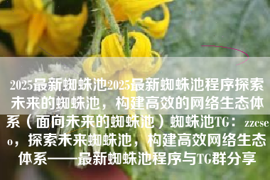 2025最新蜘蛛池2025最新蜘蛛池程序探索未来的蜘蛛池，构建高效的网络生态体系（面向未来的蜘蛛池）蜘蛛池TG：zzcseo，探索未来蜘蛛池，构建高效网络生态体系——最新蜘蛛池程序与TG群分享