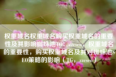 权重域名权重域名购买权重域名的重要性及其影响蜘蛛池TG：zzcseo，权重域名的重要性，购买权重域名及其对蜘蛛池SEO策略的影响（TG，zzcseo）