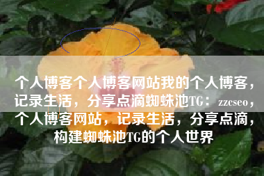 个人博客个人博客网站我的个人博客，记录生活，分享点滴蜘蛛池TG：zzcseo，个人博客网站，记录生活，分享点滴，构建蜘蛛池TG的个人世界