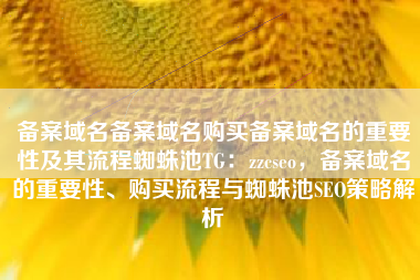 备案域名备案域名购买备案域名的重要性及其流程蜘蛛池TG：zzcseo，备案域名的重要性、购买流程与蜘蛛池SEO策略解析