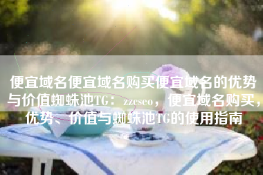 便宜域名便宜域名购买便宜域名的优势与价值蜘蛛池TG：zzcseo，便宜域名购买，优势、价值与蜘蛛池TG的使用指南