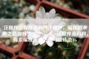 泛程序泛程序源码网泛程序，编程的未来之路蜘蛛池TG：zzcseo，泛程序源码网，探索编程未来之路与蜘蛛池TG