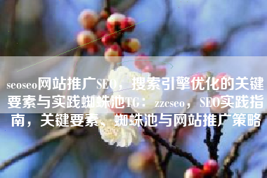 seoseo网站推广SEO，搜索引擎优化的关键要素与实践蜘蛛池TG：zzcseo，SEO实践指南，关键要素、蜘蛛池与网站推广策略