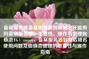 备案服务器备案服务器到期域名还能用吗备案服务器，重要性、操作与管理蜘蛛池TG：zzcseo，备案服务器到期后域名使用问题及蜘蛛池管理的重要性与操作指南