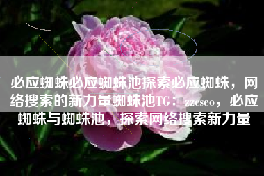 必应蜘蛛必应蜘蛛池探索必应蜘蛛，网络搜索的新力量蜘蛛池TG：zzcseo，必应蜘蛛与蜘蛛池，探索网络搜索新力量