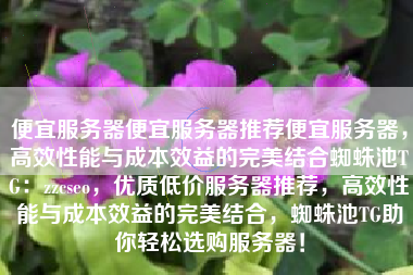 便宜服务器便宜服务器推荐便宜服务器，高效性能与成本效益的完美结合蜘蛛池TG：zzcseo，优质低价服务器推荐，高效性能与成本效益的完美结合，蜘蛛池TG助你轻松选购服务器！