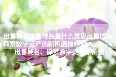 出售域名出售域名是什么意思出售域名，探索数字资产的新机遇蜘蛛池TG：zzcseo，出售域名，探索数字资产新机遇