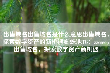 出售域名出售域名是什么意思出售域名，探索数字资产的新机遇蜘蛛池TG：zzcseo，出售域名，探索数字资产新机遇