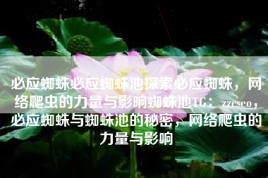 必应蜘蛛必应蜘蛛池探索必应蜘蛛，网络爬虫的力量与影响蜘蛛池TG：zzcseo，必应蜘蛛与蜘蛛池的秘密，网络爬虫的力量与影响