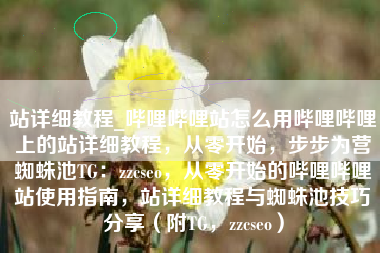 站详细教程_哔哩哔哩站怎么用哔哩哔哩上的站详细教程，从零开始，步步为营蜘蛛池TG：zzcseo，从零开始的哔哩哔哩站使用指南，站详细教程与蜘蛛池技巧分享（附TG，zzcseo）