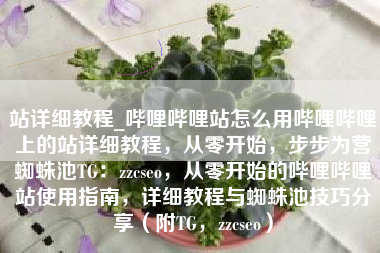 站详细教程_哔哩哔哩站怎么用哔哩哔哩上的站详细教程，从零开始，步步为营蜘蛛池TG：zzcseo，从零开始的哔哩哔哩站使用指南，详细教程与蜘蛛池技巧分享（附TG，zzcseo）