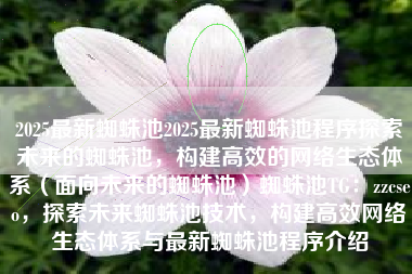 2025最新蜘蛛池2025最新蜘蛛池程序探索未来的蜘蛛池，构建高效的网络生态体系（面向未来的蜘蛛池）蜘蛛池TG：zzcseo，探索未来蜘蛛池技术，构建高效网络生态体系与最新蜘蛛池程序介绍